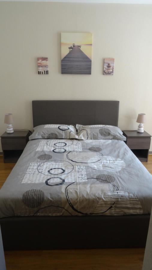 Appart T2 Standing Tout Confort Avec Balcon - Parking En Option Lyon Eksteriør bilde